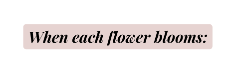 When each flower blooms
